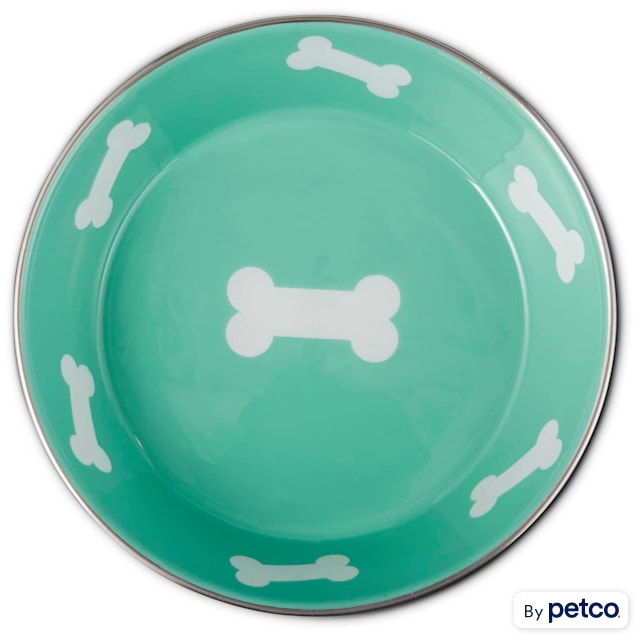 Harmony Teal Enameled Stainless Steel Dog Bowl, 6 Cups - Carousel image #1