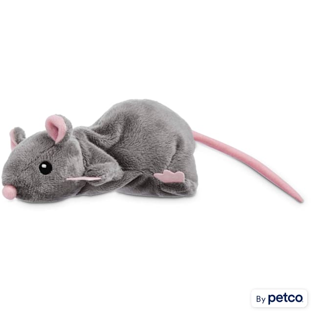 Rats For Sale, Live Pet Rats For Sale, Petco