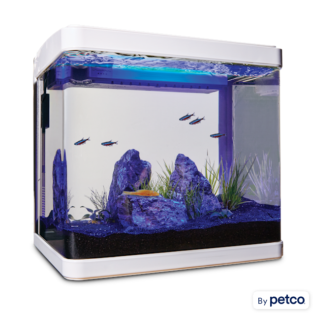 Imagitarium Freshwater Cube Aquarium Kit, 5.2 GAL - Carousel image #1