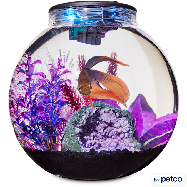 Imagitarium Freshwater Globe Kit, 3.1 GAL - Carousel image #1