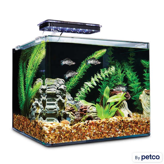 Mini Acrylic Aquarium Transparent Fish Keeper Fishbowl Portable