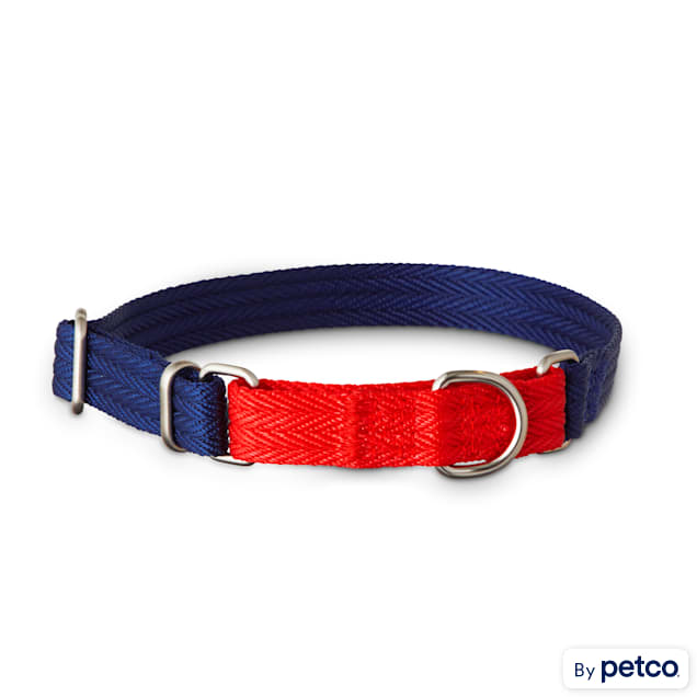 Red and blue dog collar new arrivals