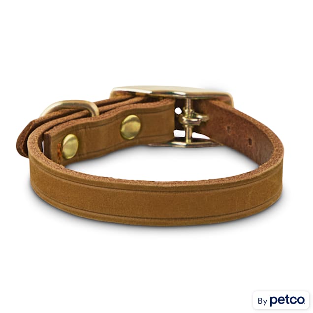 Petco leather collar clearance