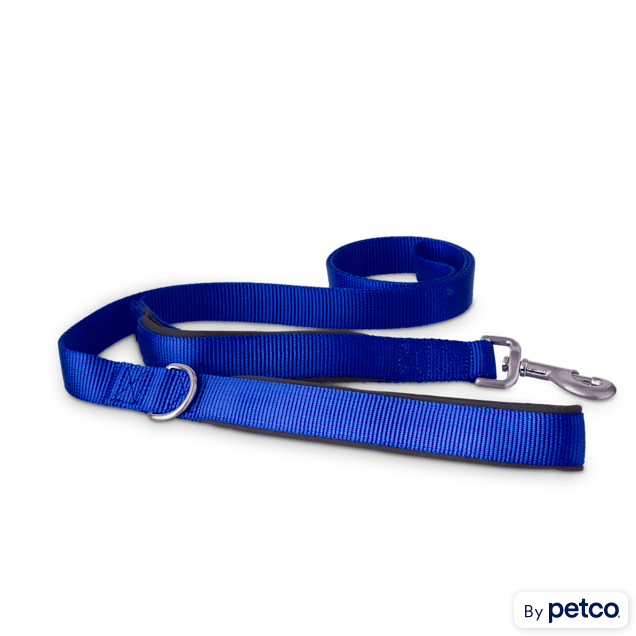 Good2Go Blue 2-in-1 Dog Leash, 6 ft. - Carousel image #1