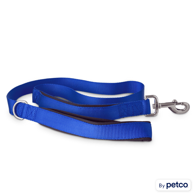 Good2go dog leash best sale