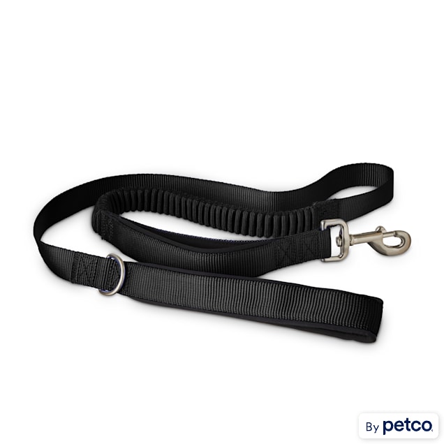 Good2Go Black Shock Absorbing Dog Leash, 5 ft. - Carousel image #1