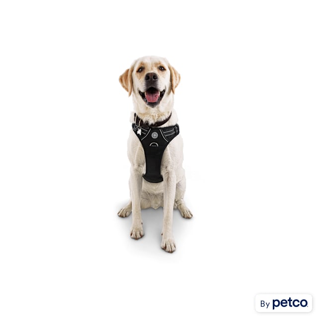 Black dog logo pet leash