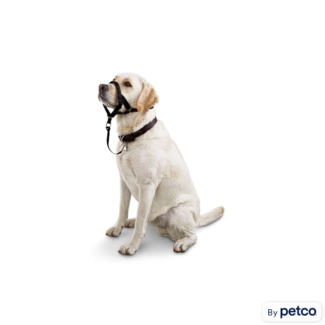 Good2Go Head Halter for Dogs, Large - Carousel image #1