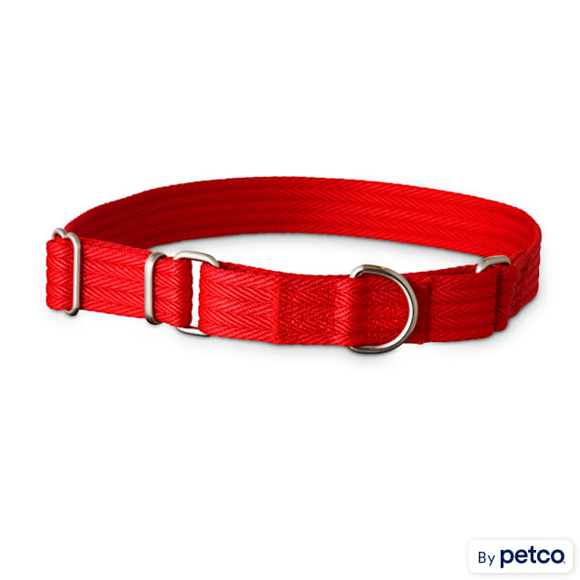 Good2go martingale deals dog collar