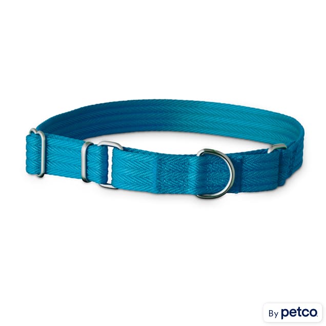 Martingale dog collar shop petco