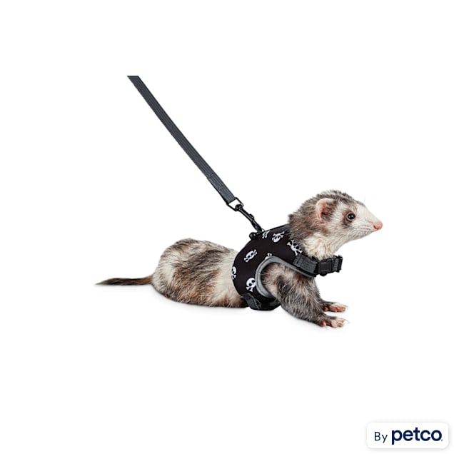Ferret leash 2025