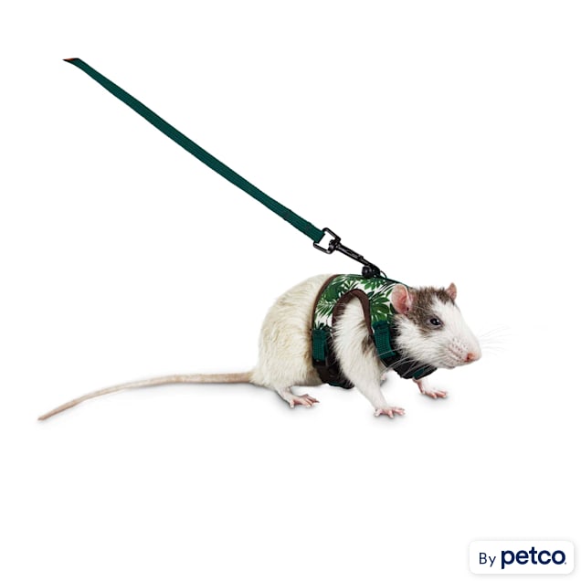 You Me Tropical Oasis Small Animal Harness and Leash Set Small