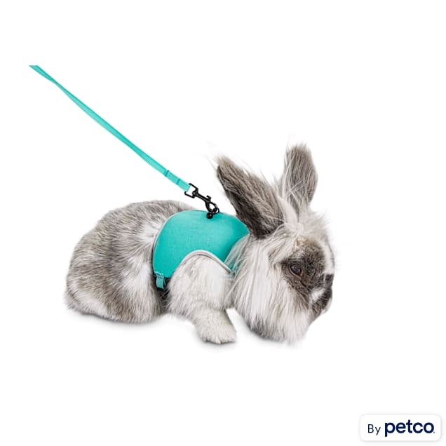 Petco harness and leash cheap