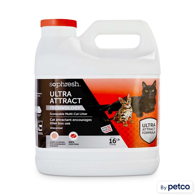 Petco dr elsey cat attract hot sale
