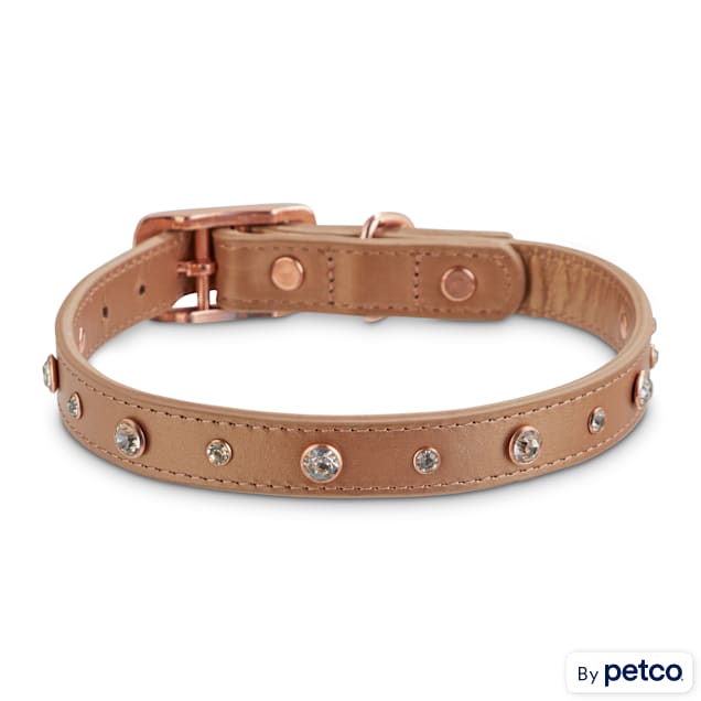 Bond and company dog collars discount