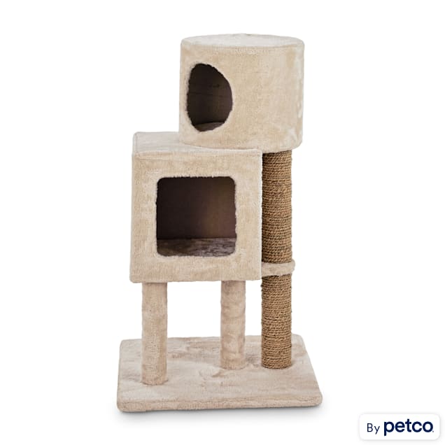 Petco cat perch sale