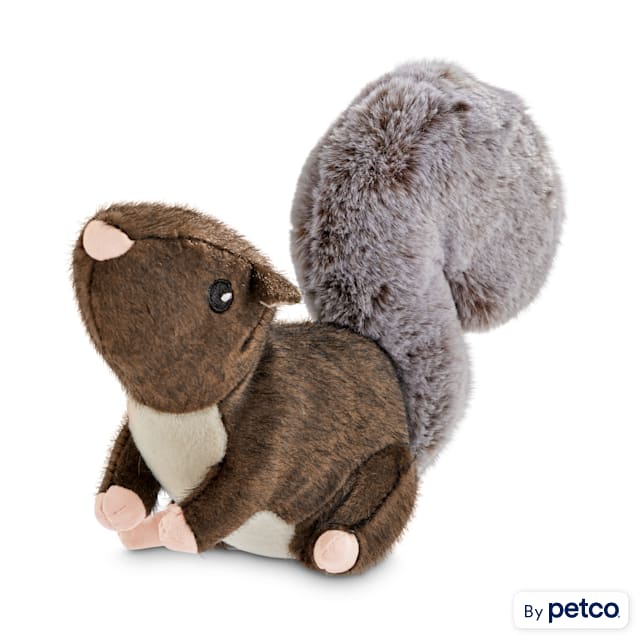 Wild Plush Squirrel Dog Toy