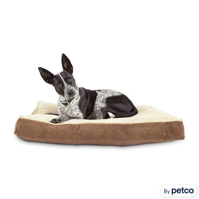 EveryYay Essentials Snooze Fest Brown Lounger Dog Bed, 33" L X 24" W - Carousel image #1