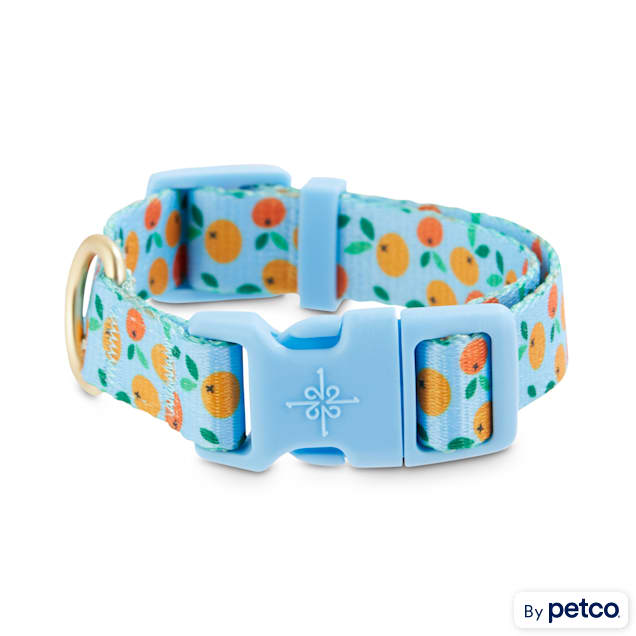 Dog collars sales at petco