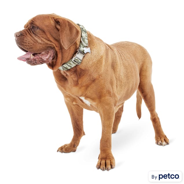 Control dog collars hot sale