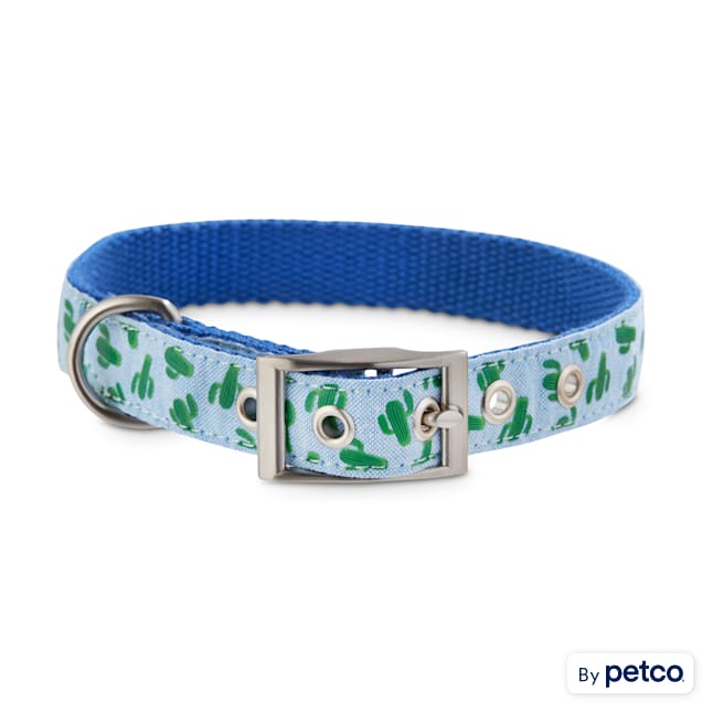 Bond Co. Cosmo Cactus Dog Collar Small Petco