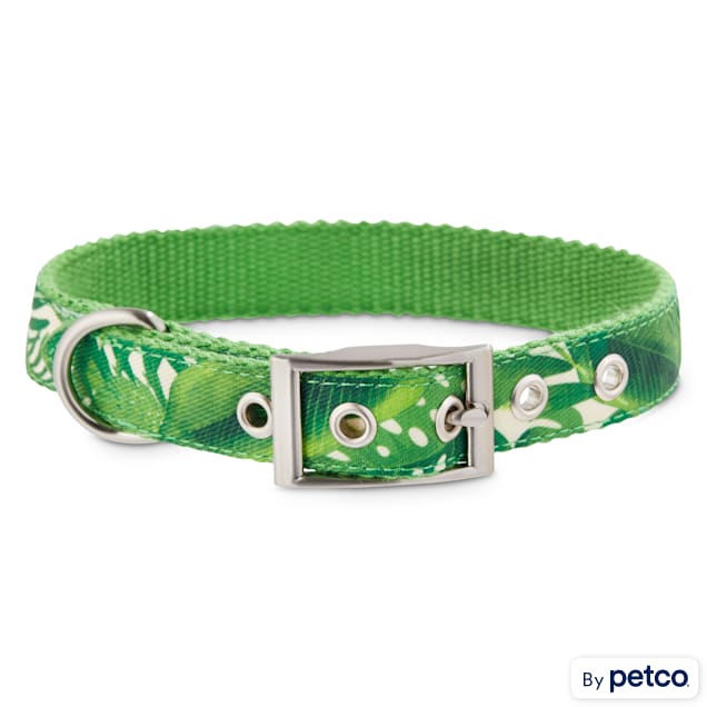 Bond and co leather dog collars deals