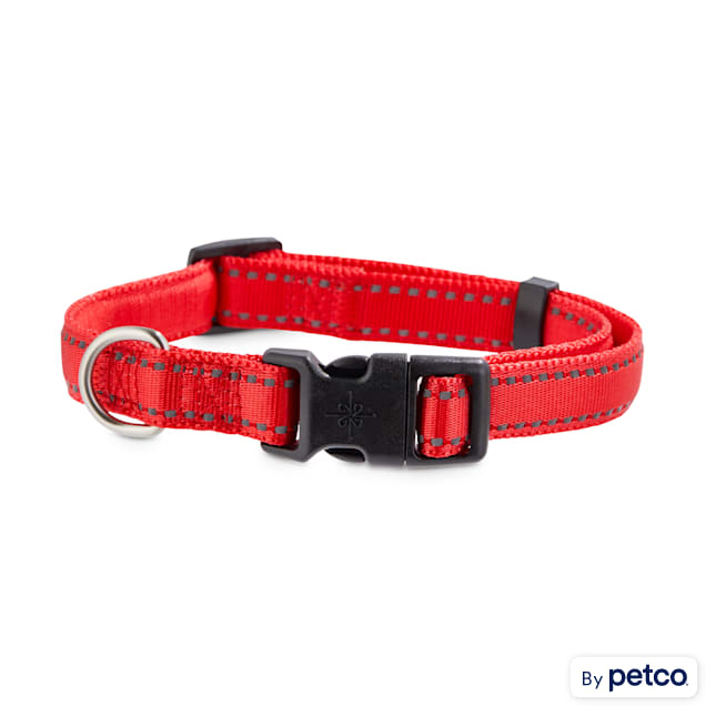 Ruby Red Dog Collar with Black Leather + Multicolored Stitching