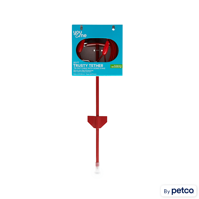 Petco dog stake shop