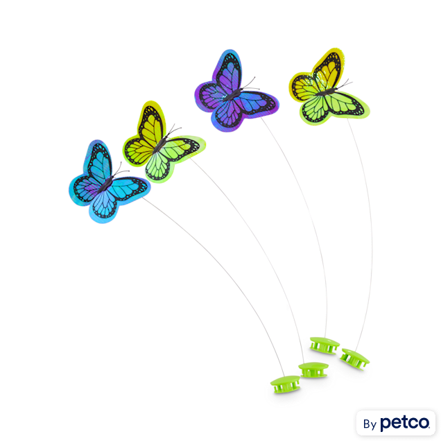 Leaps Bounds Replacement Butterflies for Winged Chase Butterfly