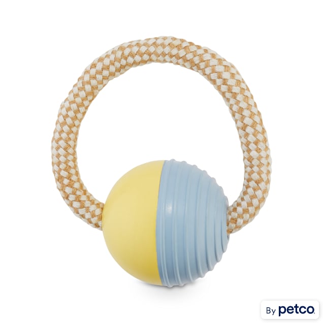 Leaps & Bounds Playful by Nature Toss & Tug Rubber Ball Rope Handle Dog Toy, Small - Carousel image #1