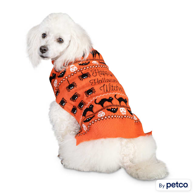 Bootique Wildly Wicked Pet Sweater, Large - Carousel image #1