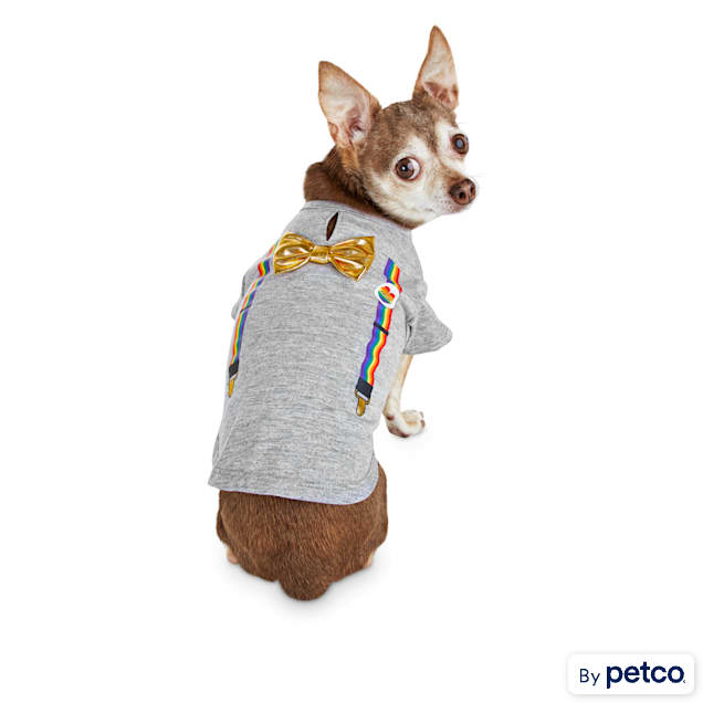 Bond & Co. Pride Rainbow Dog T-Shirt, X-Small - Carousel image #1