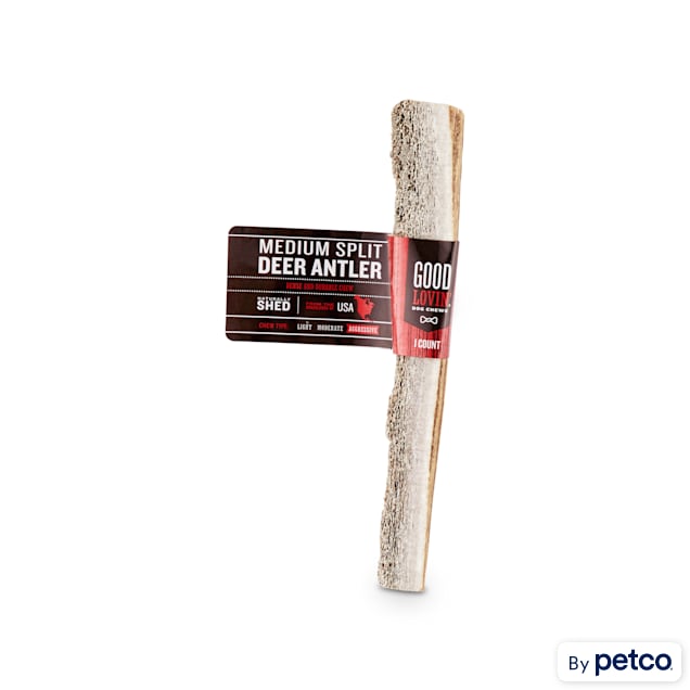 Medium Deer Antler Dog Bone