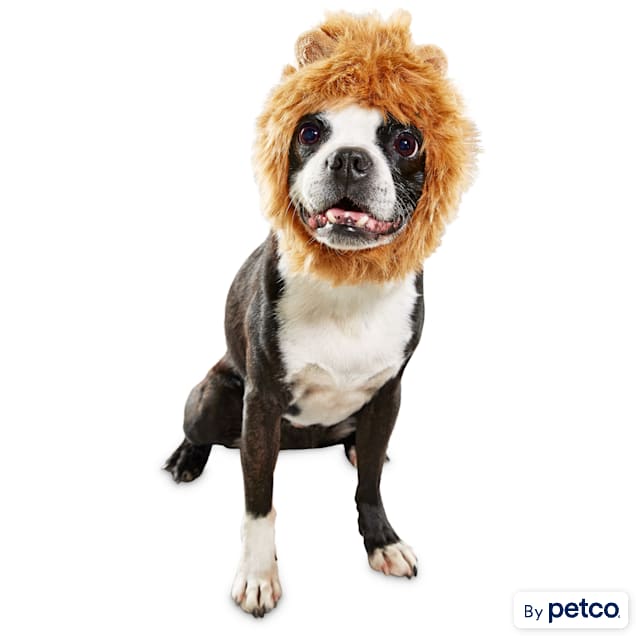 Bootique Mane Reign Lion Pet Headpiece, Small/Medium - Carousel image #1