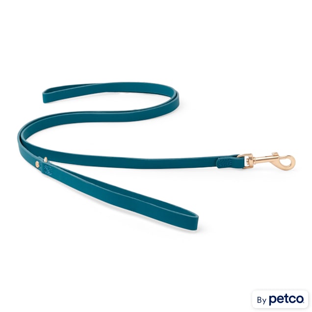 Bond & Co. Teal Pleather Dog Leash, 5 ft. - Carousel image #1