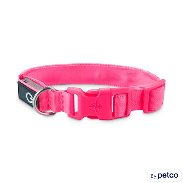 Good2Go Neon Pink LED Light-Up Dog Collar, Small - Carousel image #1