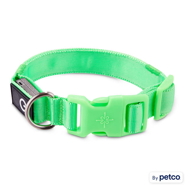 Good2Go Neon Green LED Light-Up Dog Collar, Small - Carousel image #1