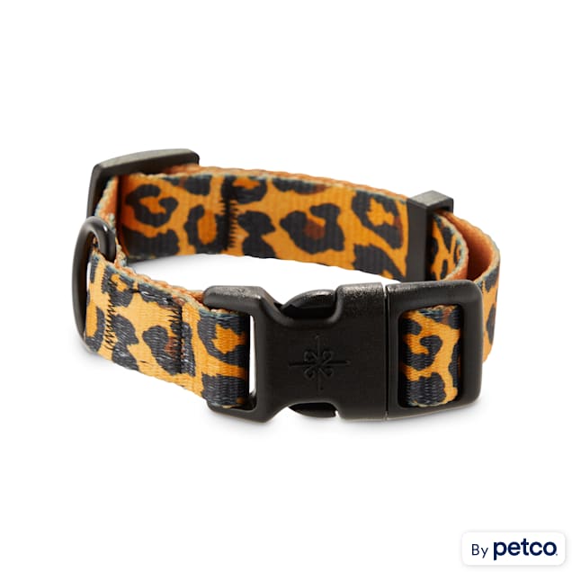 Good2Go Cheetah-Print Dog Collar, Small - Carousel image #1