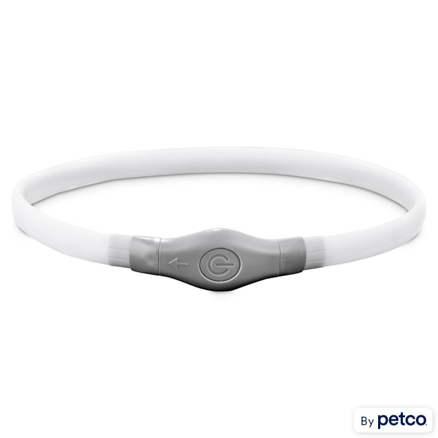 Good2Go LED Light-Up Safety Necklace for Dogs - Carousel image #1