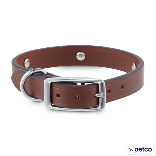 Bond Co. Studded Leather Dog Collar X Small Small Petco
