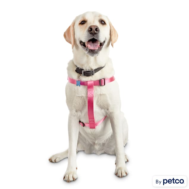 Good2go no pull dog new arrivals harness