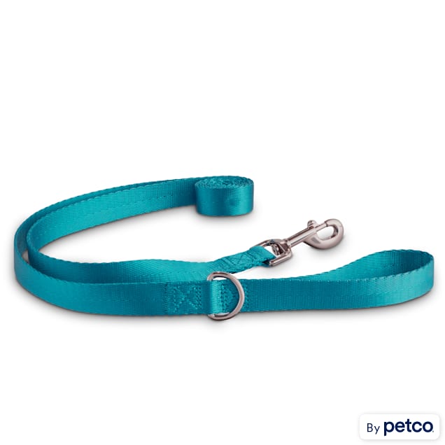 Good2Go Turquoise Nylon Dog Leash, 1" Width, 6 ft. - Carousel image #1