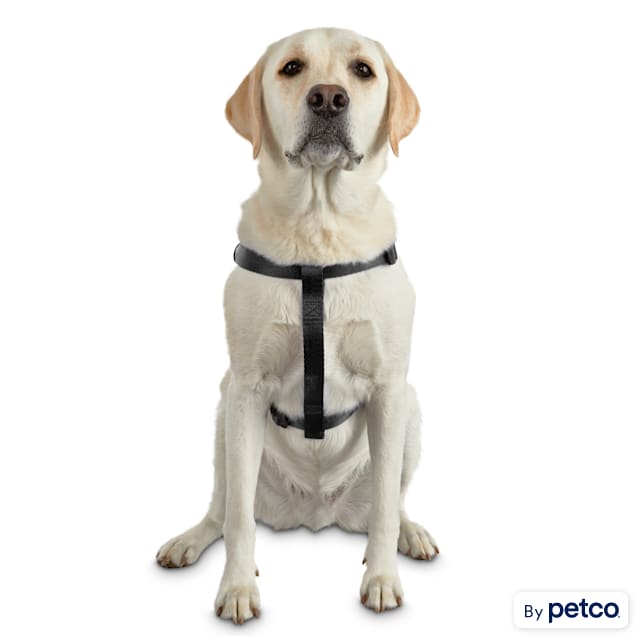 Good2Go Easy Step-In Black Comfort Dog Harness, Large/X-Large - Carousel image #1