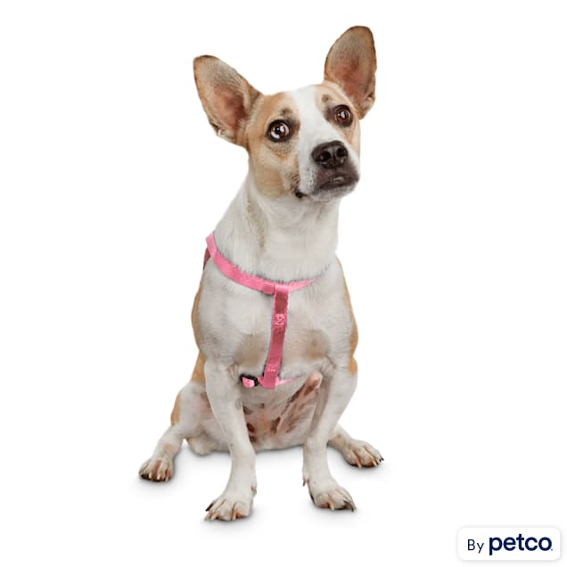 Good2Go Easy Step-In Pink Comfort Dog Harness, Small - Carousel image #1