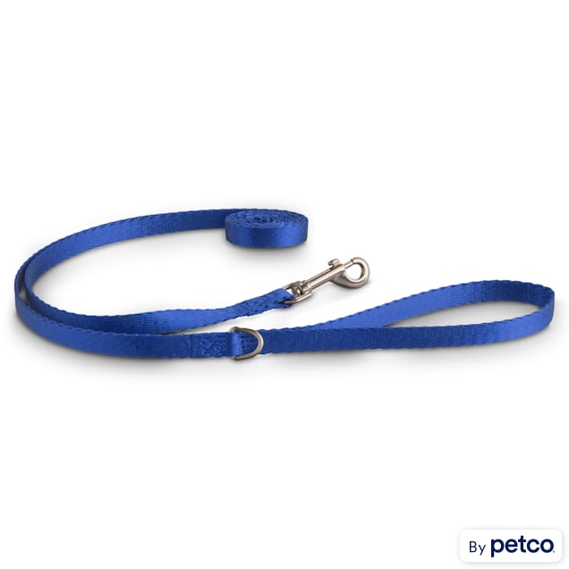Good2Go Blue Nylon Dog Leash 1 2