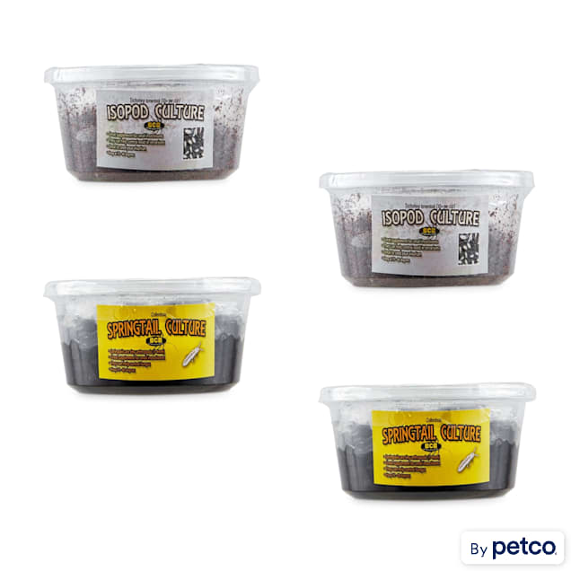 Spring Tail & Isopod Culture Combo 4-pack - Carousel image #1