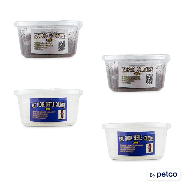 Rice Flour & Isopod Culture Combo Pack - Carousel image #1