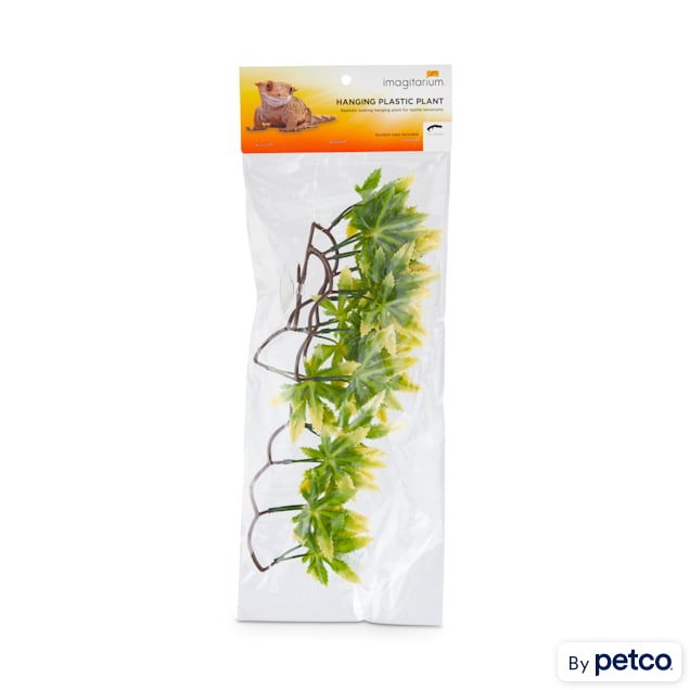 Imagitarium petco hot sale