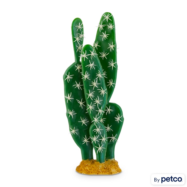 Imagitarium Cactus Terrarium Decor, Medium - Carousel image #1