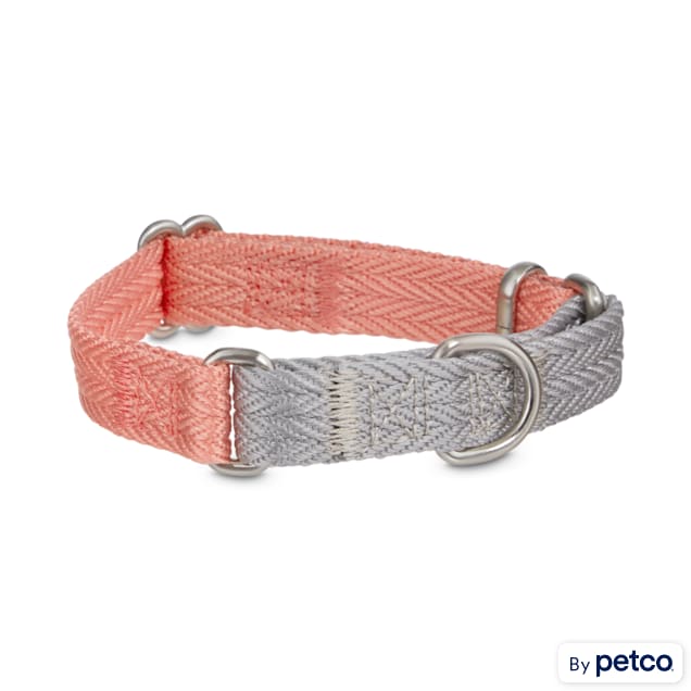 Good2Go Grey & Pink Two-Tone Martingale Dog Collar, X-Small - Carousel image #1